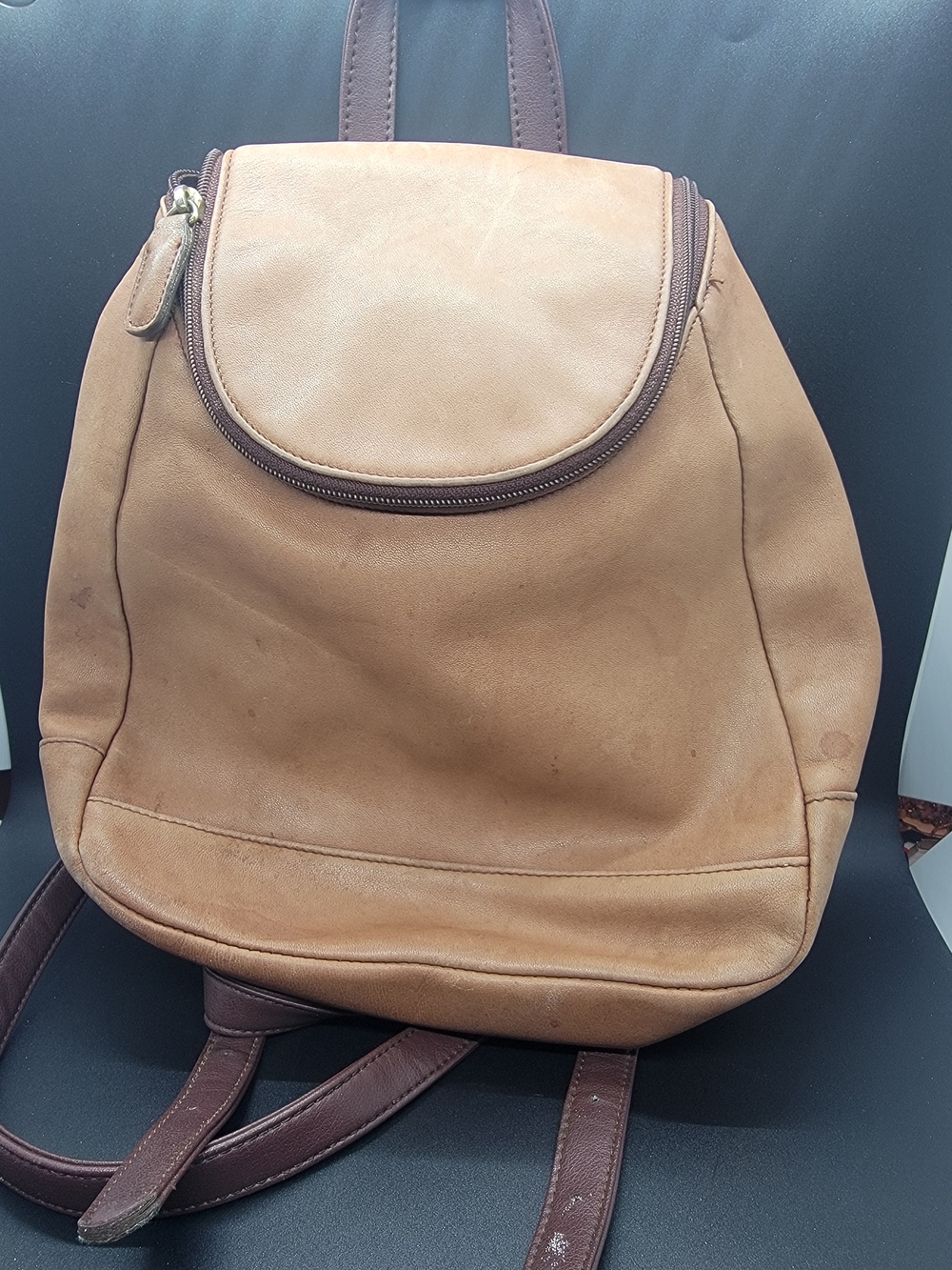 Leather Men’s Backpack in Tan
